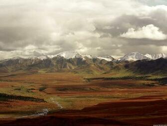 Alaska Tundra