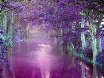 Beautiful Purple Background Wallpaper