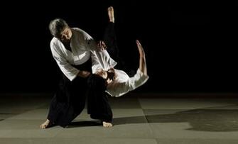 Aikido Wallpaper High Quality