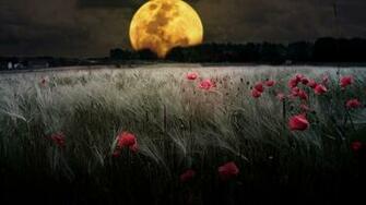 Best Wallpaper Byet Forums