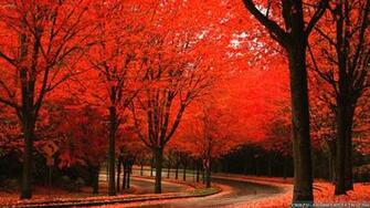 Pretty Autumn Wallpaper At Wallpaperbro