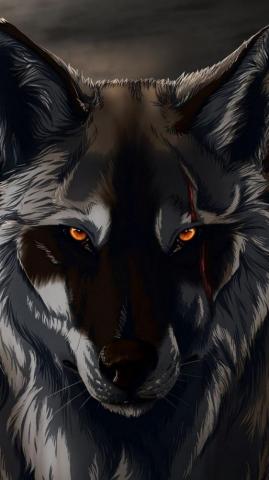 Anime Wolf Wallpaper On