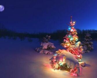 Kerstboom Versierd Met Gekleurde Kerstverlichting