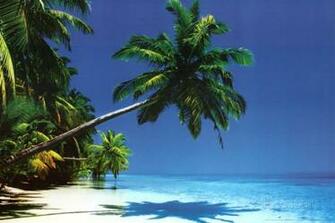 Maldives Palm Tree Over Beach Art Poster Print