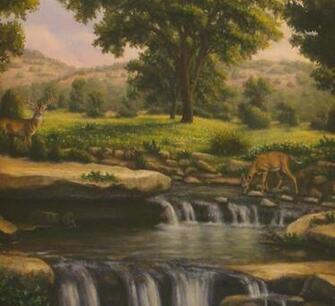 Country Scene Wallpaper Beautiful Morning In Bog Picture Pictures