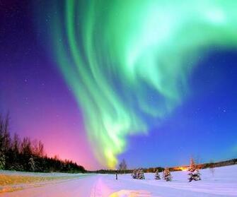 I9023 Nexus Mobiles Nature Wallpaper For
