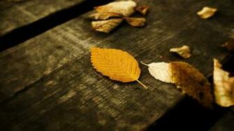Leaves HD Wallpaper Theme Bin Customization