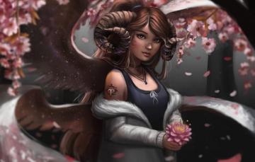 Aries Wallpaper On