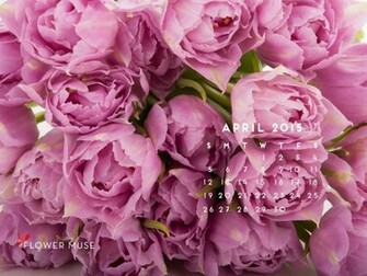 System S Instructions For Using The Image As A Desktop Wallpaper