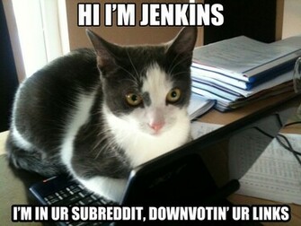 Cats Cat Humor Funny Lol Wallpaper Background