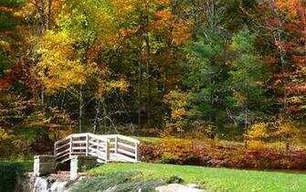 Image Widescreen Seven Springs Fall Bridge I Jpg