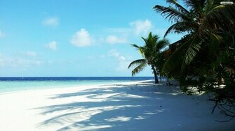 White Sand Beach Wallpaper