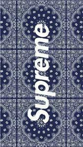 Supreme Louis Vuitton Sumacase