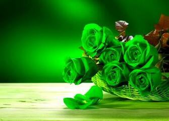 Green Rose Wallpaper Pack V 56mwu56
