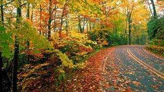 Wallpaper Themes For Your Desktop Noupe
