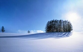 Tag Beautiful Winter Scenery Wallpaper Background Photos Image And