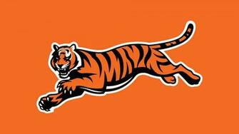 Cincinnati Bengals Wallpaper HD Early