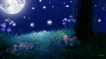 Full Moon And Stars Wallpaper Image