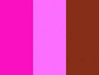 Shocking Pink Crayola And Sienna Three Color Background