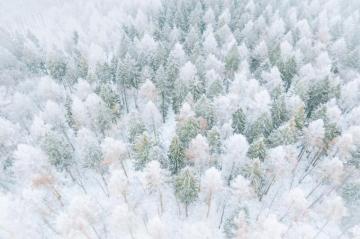 Winter Aesthetic Pictures Image