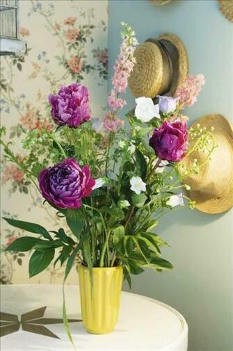 Chap Us Na Parede Amo Flowers