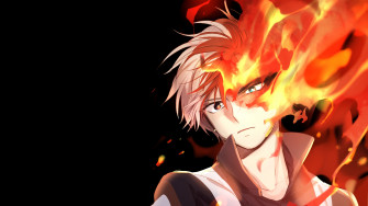 Shoto Todoroki Fire My Hero Academia 4k Rare Gallery