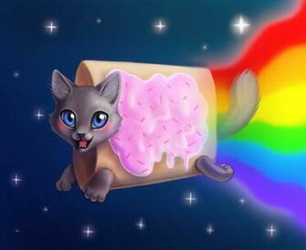 Space Cat Wallpaper HD