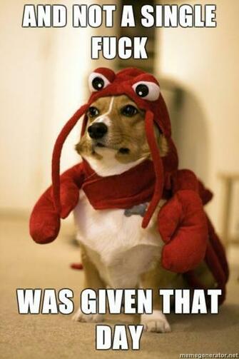 Welsh Corgi Lobster Picture