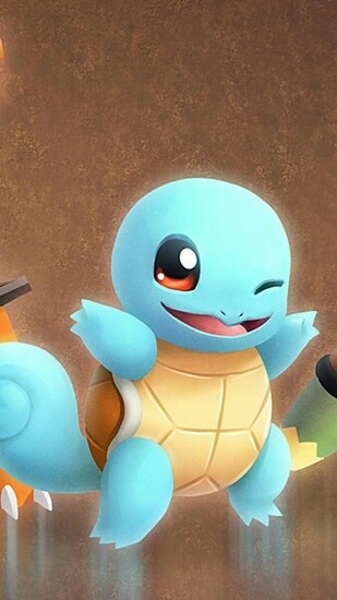 Cute Baby Turtle Wallpaper iPhone Plus