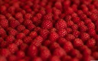 Raspberries 4k HD Desktop Wallpaper For Dual Monitor Desktops