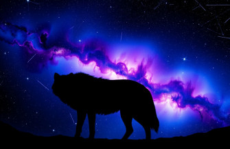 Galaxy Wolf Wallpaper