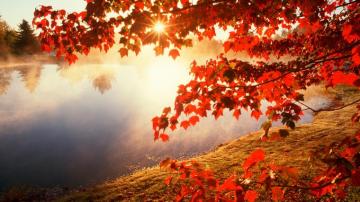 Autumn Morning