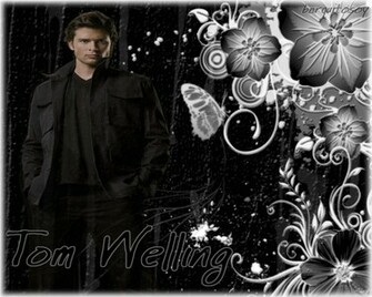 Tom Welling Wallpaper