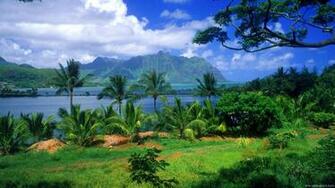 Jmparadise Background Fish Kaneohe Tropical Paradise Travel Wallpaper