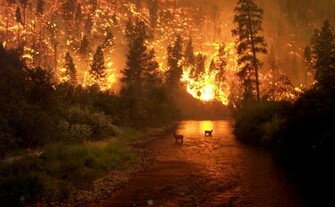 Wallpaper Photo For The Wildland Firefighter