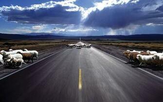 Best Wallpaper Roads