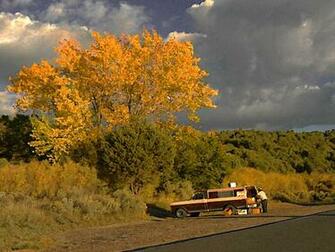 New Mexico Wallpaper