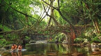 These Photos Will Bring Monsoon In North East India Alive For You