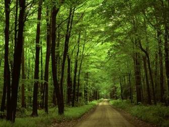 Desktop Wallpaper S Nature Huge Collection Of Amazing