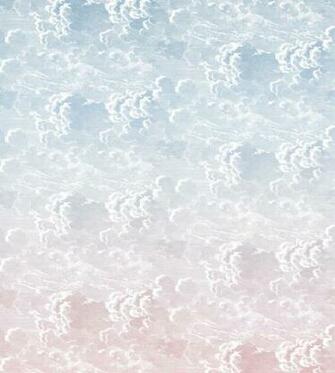 Nuvole Al Tramonto Dusk Pink Wallpaper Fornasetti Cole Son