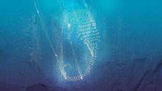 Seahorse Wallpaper