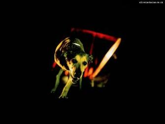 Alice In Chains Wallpaper