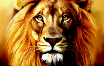 Angry Lion Face Wallpaper