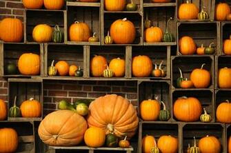 Desktop Pumpkin Wallpaper Net