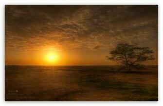 Sunrise Wallpaper