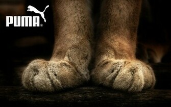 Puma Wallpaper And Image Pictures Photos