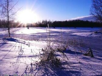 Winter Sunrise Wallpaper