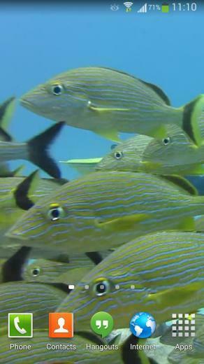Tropical Fish Underwater Live2 Android Apps On Google Play