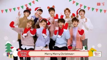 Lotte Duty Have A Merry Christmas From Straykids