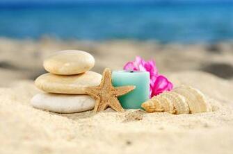 Wallpaper Seashells Starfish Sand Beach Stones